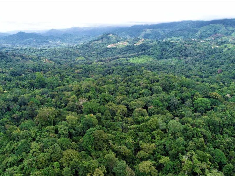 0 bed Lot/Land For Sale in Ojochal, 